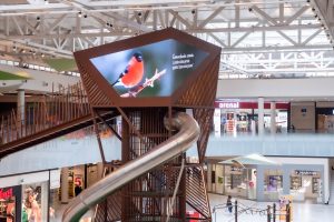 bird land en centro comercial Valle Real