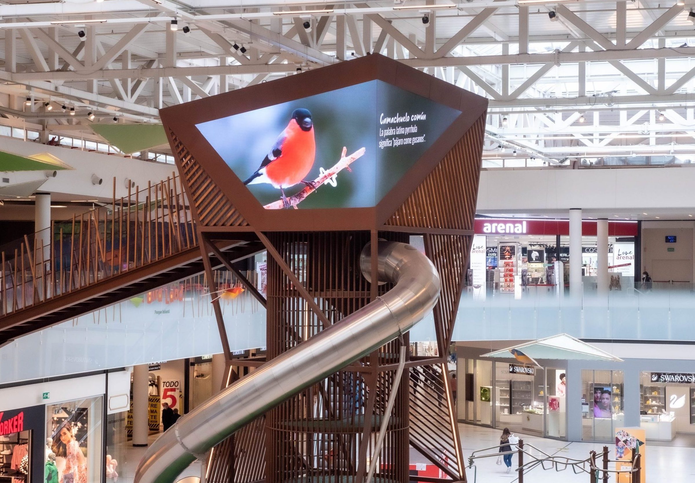 bird land en centro comercial Valle Real