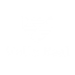 Valle real logo